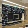 Large Colored Glass Wall (AS/NZS2208, CE, SGCC)